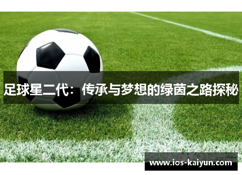 足球星二代：传承与梦想的绿茵之路探秘