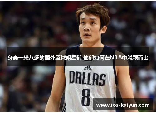 身高一米八多的国外篮球明星们 他们如何在NBA中脱颖而出