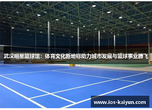 武汉明星篮球馆：体育文化新地标助力城市发展与篮球事业腾飞