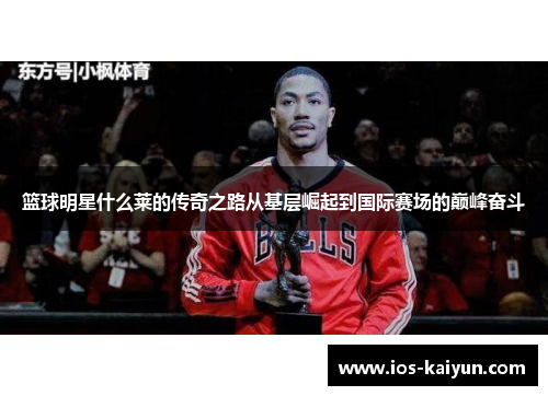篮球明星什么莱的传奇之路从基层崛起到国际赛场的巅峰奋斗