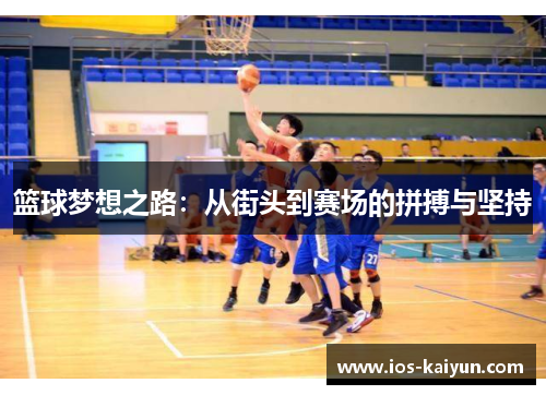 篮球梦想之路：从街头到赛场的拼搏与坚持